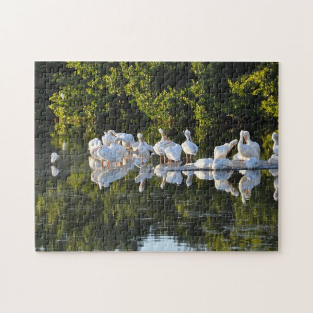 Sanibel Island Pelicans Florida. Jigsaw Puzzle (Horizontal)