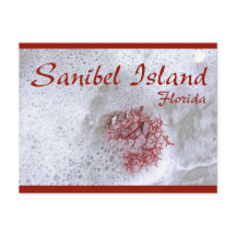 Sanibel Island Red Seaweed Postcard