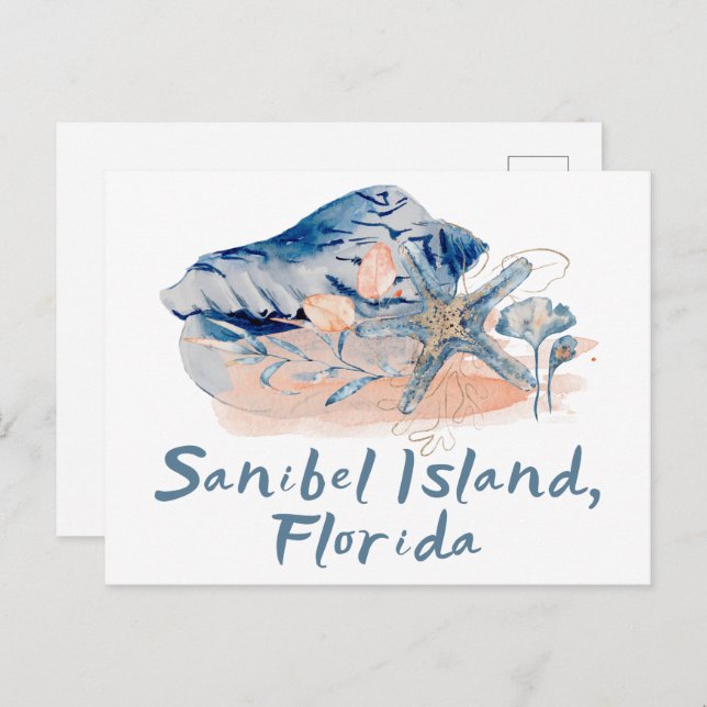 Sanibel Island Seashells  Postcard (Front/Back)