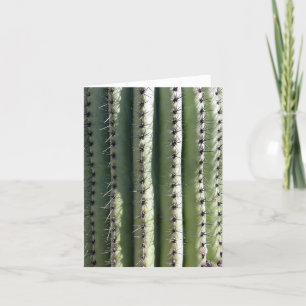 Sanoran Saguaro Thank You Card