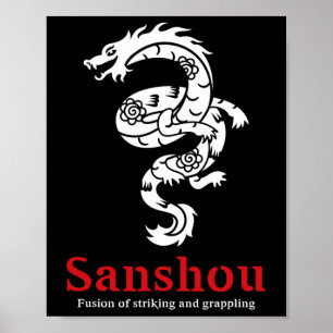 Sanshou Dragon Sanda Chinese Boxing Martial Arts _ Poster