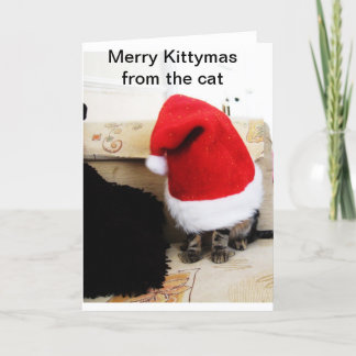 Santa 4 Paws Holiday Card