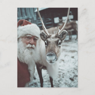 Santa and Reindeer Winter Magic Postcard