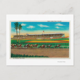 Santa Anita Park Horse RacesArcadia, CA Postcard