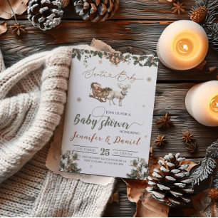 Santa Baby Christmas Green Red Winter Baby Shower  Invitation