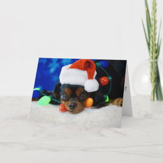 Santa Baby Holiday Card