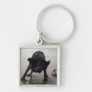 Santa Barbara, California, USA Key Ring