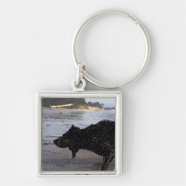 Santa Barbara, California, USA Key Ring (Front)