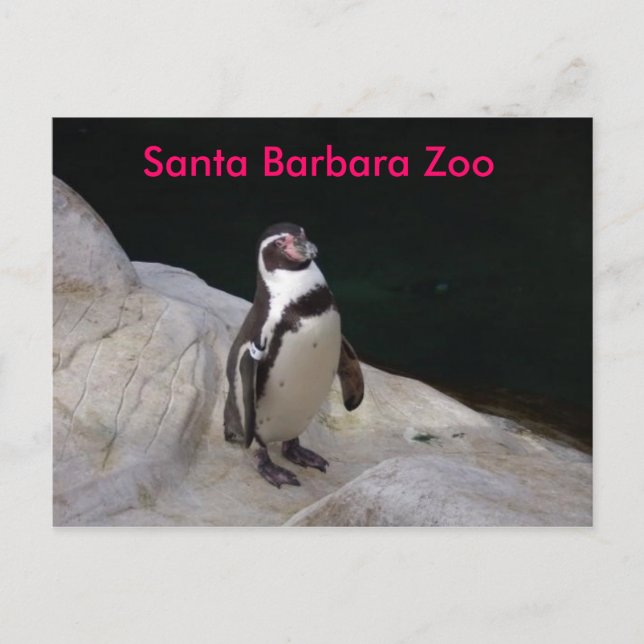Santa Barbara Zoo Postcard (Front)