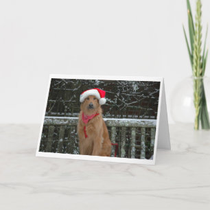 santa bear holiday card