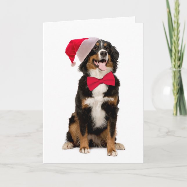 Santa Berner Christmas Card (Front)