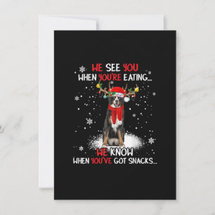 Santa Bernese Mountain Dog Reindeer Light Christma Invitation