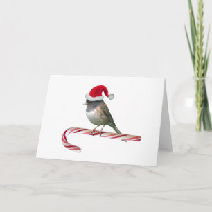 Santa Bird Christmas Card