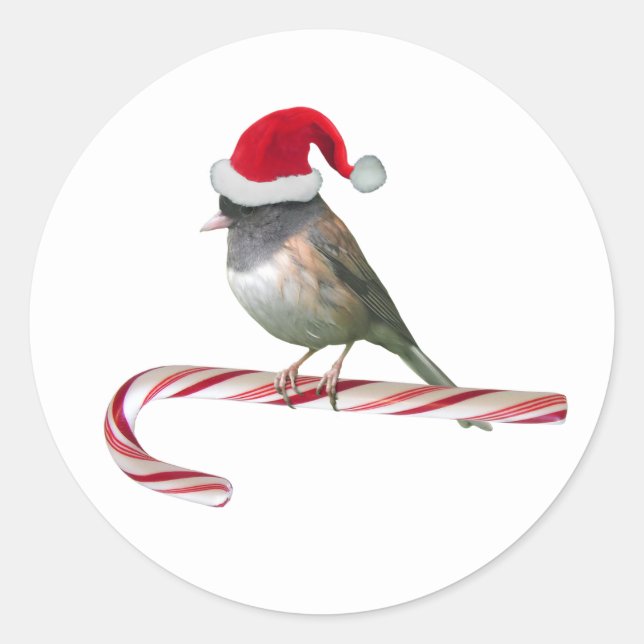 Santa Bird on Candy Cane Stickers (Front)