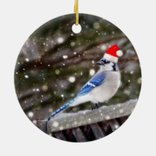 Santa Blue Jay Ceramic Tree Decoration