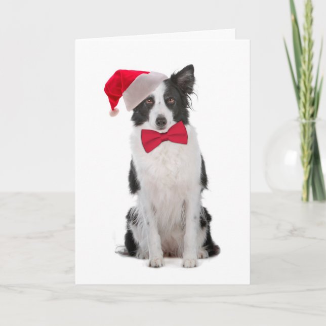 Santa Border Collie Christmas Card (Front)