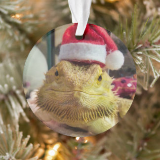 Santa Bubbs Acrylic Ornament