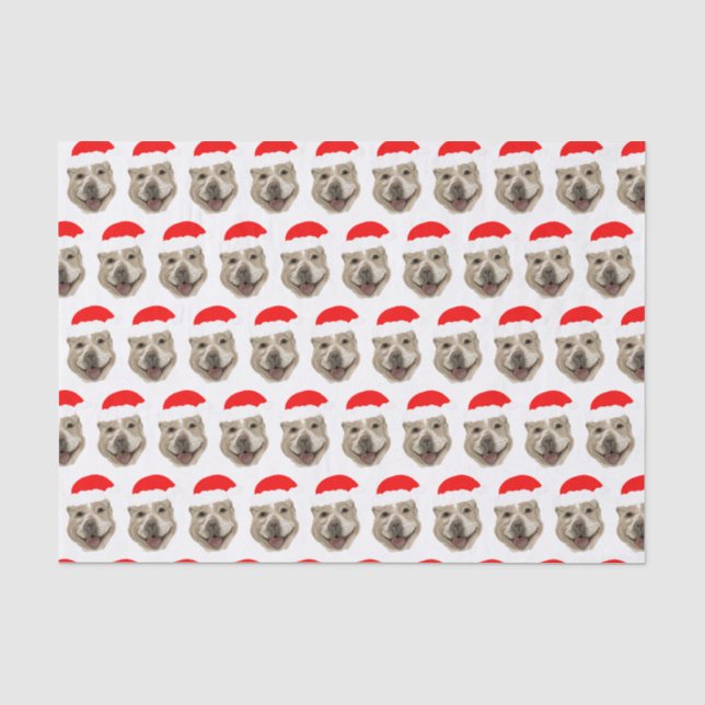 Santa Buddy Tissue Paper (Front)