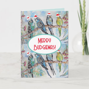 Santa Budgie Christmas Watercolor Painting Bird Card