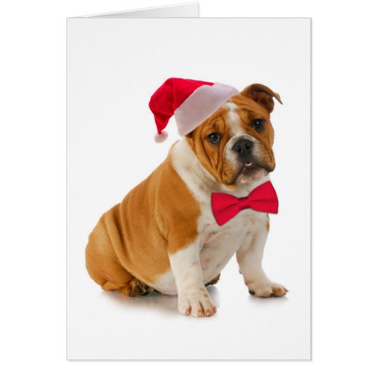 Santa Bulldog Christmas Card