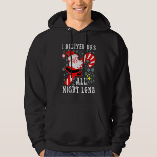 Santa Can Deliver Ho's All Night Naughty Dirty Jok Hoodie