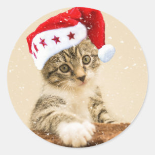 Santa Cat Christmas Classic Round Sticker