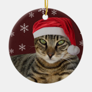 Santa Cat Christmas Ornament