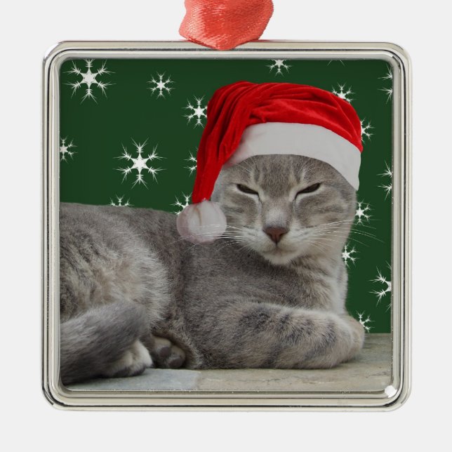 Santa Cat Christmas Ornament (Front)