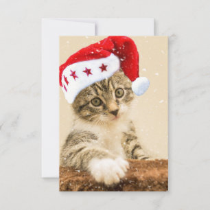 Santa Cat Christmas Thank You Card