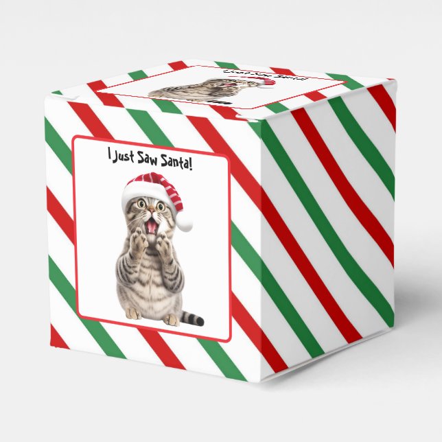 Santa Cat Cute Funny Christmas Cat Favour Box (Front Side)