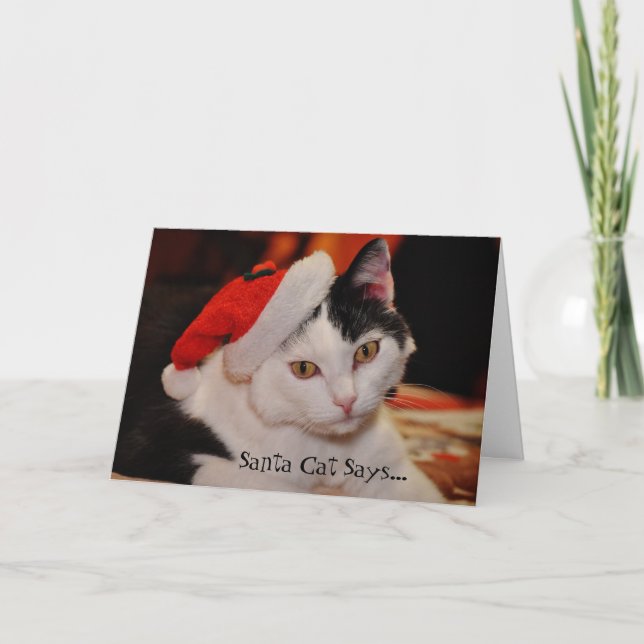 Santa Cat Lover Fun Christmas Card (Front)