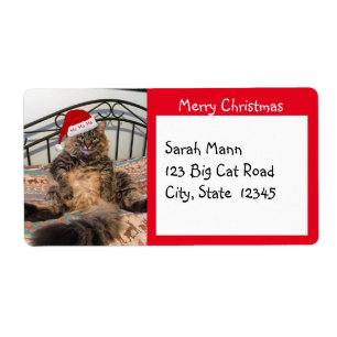 Santa Cat Merry Christmas Shipping Labels