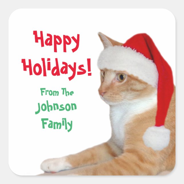 Santa Cat Square Sticker (Front)
