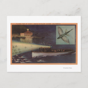 Santa Catalina Island, CA Casino, Flying Fish Postcard