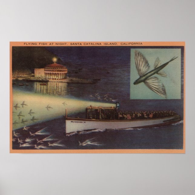 Santa Catalina Island, CA Casino, Flying Fish Poster (Front)