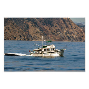 Santa Catalina Island Photo Print