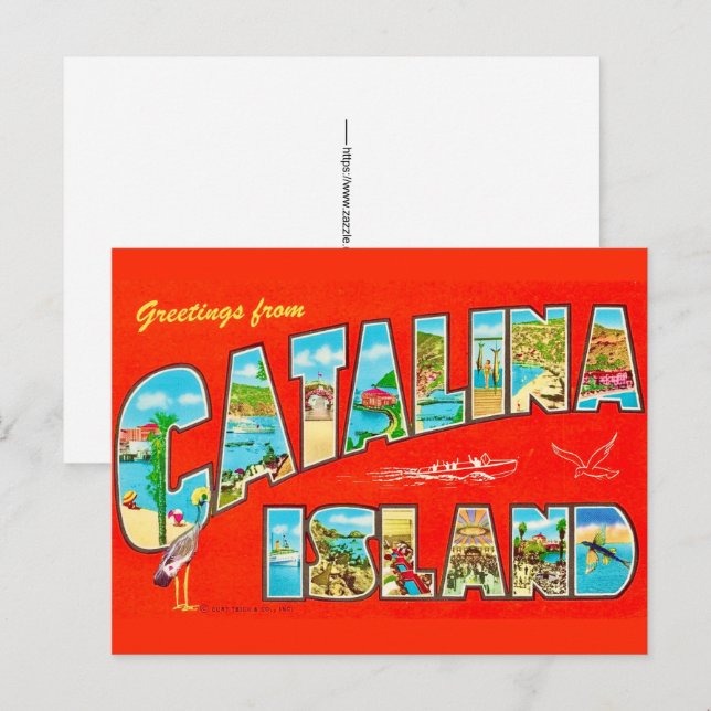 Santa Catalina Island Postcard (Front/Back)