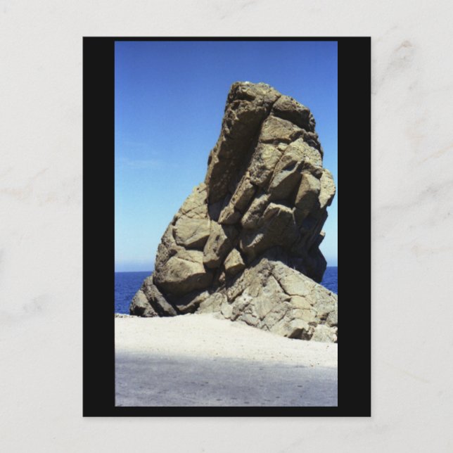 Santa Catalina Island Postcard (Front)