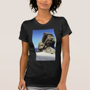 Santa Catalina Island T-Shirt