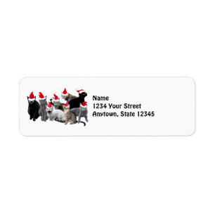 Santa CatsReturn Address Labels