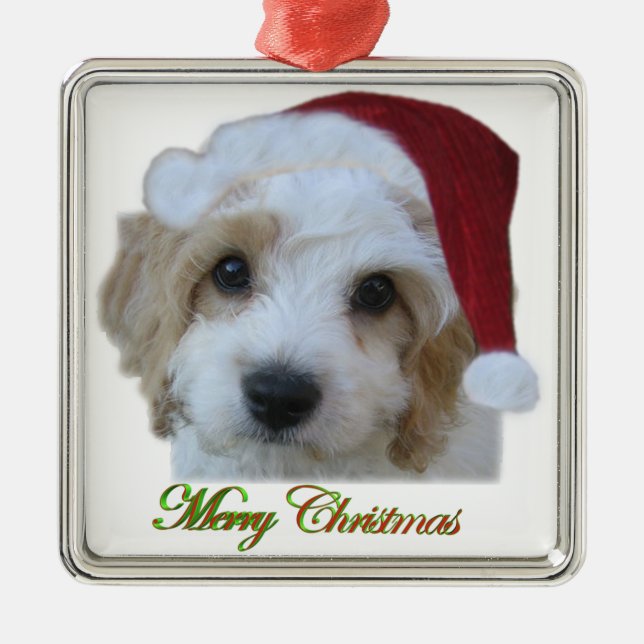 Santa Chase Framed Ornament (Front)