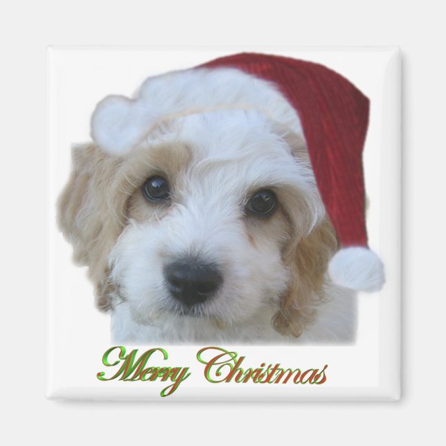 Santa Chase Magnet (Front)