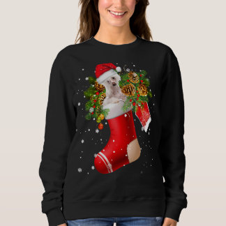 Santa Chinese Crested In Christmas Sock Pajama Sweatshirt