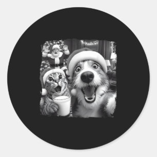 Santa Christmas Funny Cat Taking Selfie Racoon Xma Classic Round Sticker