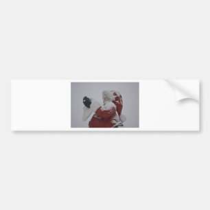 Santa Christmas Holiday Snow Snowflake Frozen Ice Bumper Sticker