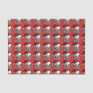 Santa Claus Christmas Horse Tissue Paper