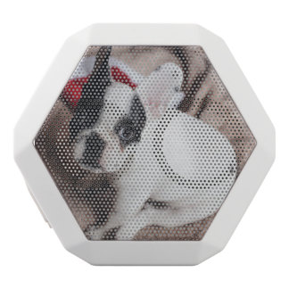 pug bluetooth speaker pugs iphone mp3 pc laptop speakers zazzle au pug bluetooth speaker pugs iphone mp3 pc laptop speakers zazzle au