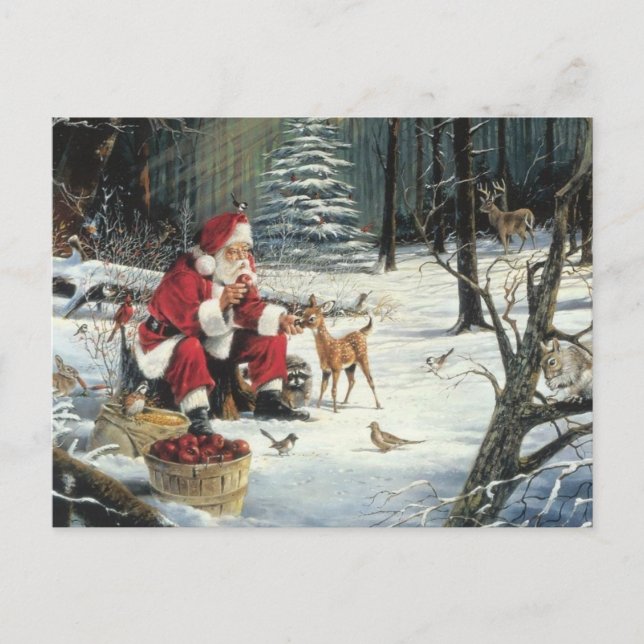 Santa Claus Feeding The Animals Holiday Postcard (Front)