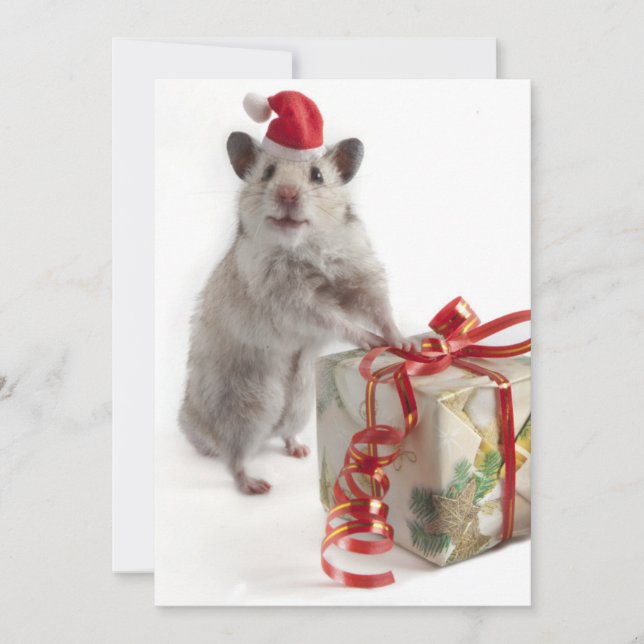 Santa Claus Hamster With Gift Holiday Card (Front)