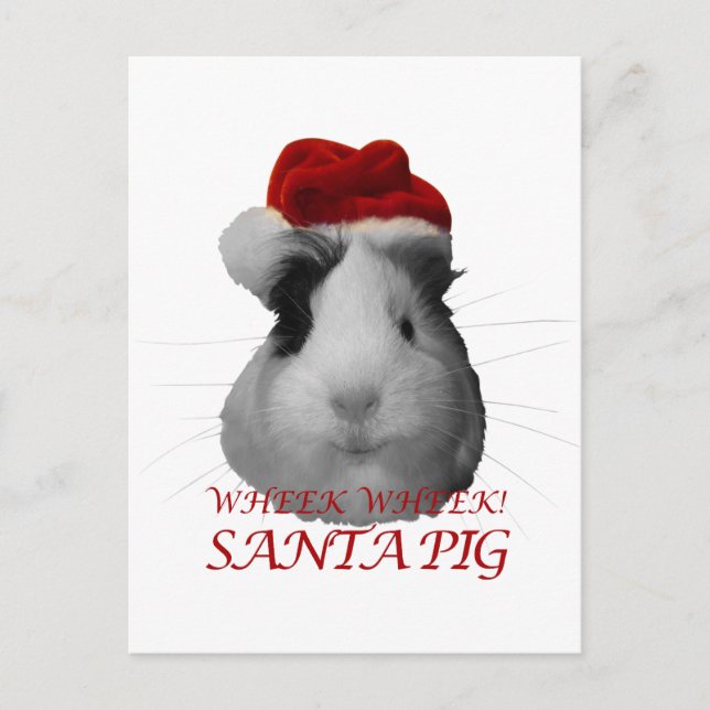 Santa Claus Pig Guinea Pig Christmas Holidays Holiday Postcard (Front)